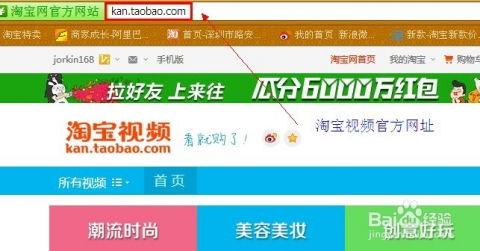 淘宝爆料教程视频大全,轻松掌握购物技巧与秘籍